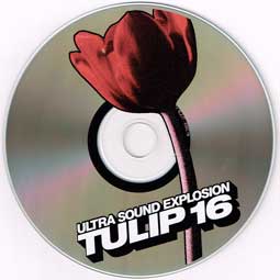 Tulip 16
